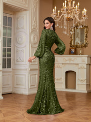 Slim Fit Long Sleeved Embroidered Sequin Dress