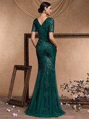 Formal Evening Dress